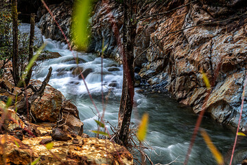 Different views from Firtina Creek