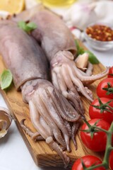 Fresh raw squids, tomatoes and spices on white table, closeup