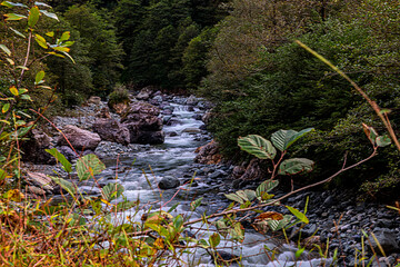 Different views from Firtina Creek