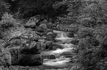Different views from Firtina Creek