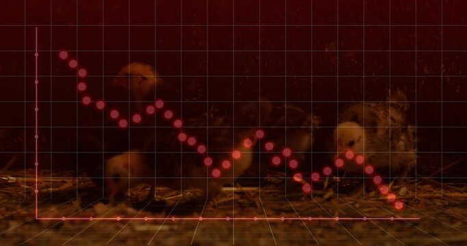 Red grid dotted line descending causing eggs cracking chicks hatching and walking plotting decline