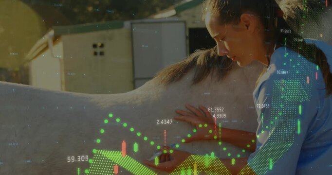 Vet palpating horse flank and activating translucent health charts pulsing to assess condition