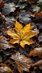 Vibrant yellow maple leaf resting among fallen brown leaves on a forest floor during autumn creating a beautiful seasonal scene