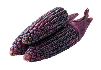 Vibrant Deep Purple Corn Cobs isolated on a transparent background
