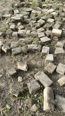 Old Weathered Cobblestone Path with Grass Growing Between Stones in Natural Outdoor Setting