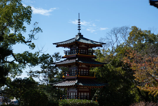 晴天の神社の風景