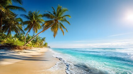 Obraz premium Lush tropical palm trees overhang a secluded white sand beach bordering clear turquoise ocean water under a bright sun.