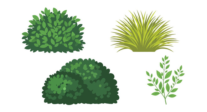 Illustration of various green bushes and foliage in a simple design