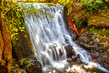 Fototapeta premium Waterfall in Rio de Avandaro in Valle de Bravo state of Mexico