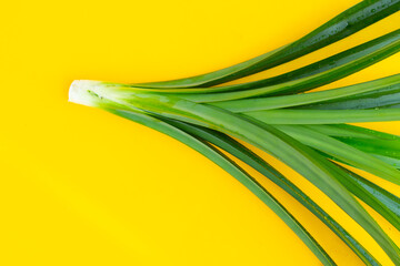 Green pandan leaves on yellow background.