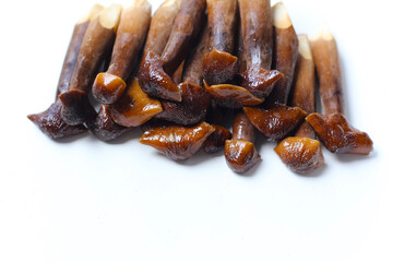 Termite mushrooms with long stems, white tips, and dark brown caps.