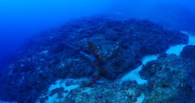 historic old anchor at hte bottom of ocean underwater