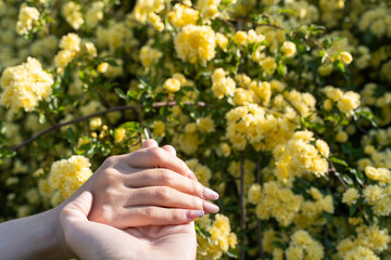 Holding Hands in Spring Sunshine④