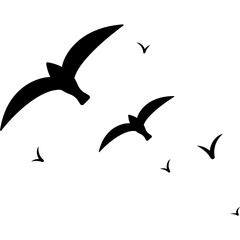 Flock of Birds Flying