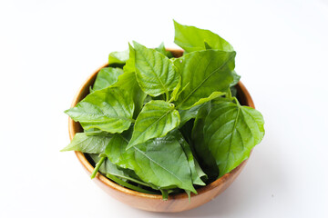 Fresh Sweet Ivy leaves for cooking, Asystasia gangetica (L.) T. Anders.