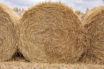 Close-up of dense round straw bale showing fiber texture and compaction quality