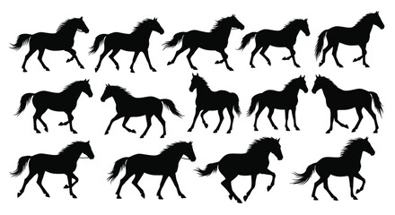 A collection of detailed black silhouettes depicting horses in various poses