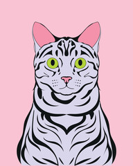 Cute minimalist cat portrait in flat style with elegant black stripes, yellow eyes, and pink tones. Great for pet designs, decor, branding, and creative artwork.