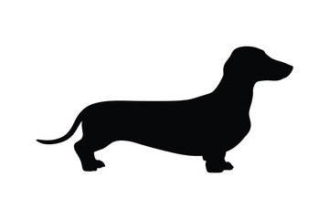 Black silhouette of a dachshund standing profile view
