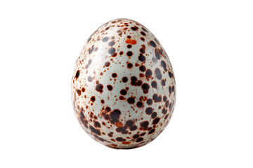A speckled egg against a stark black background. The egg is oval shaped with brown speckles