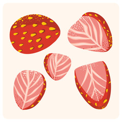 Stylized Cross-Section Slices of Strawberry Fruit