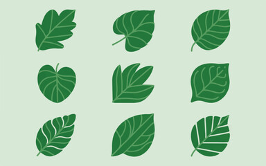 Fototapeta premium Nine Different Green Leaf Illustrations on a Light Green Background leaves nature