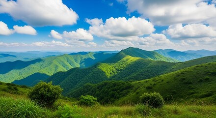 Obraz premium Lush Rolling Appalachian Mountains Under a Bright Blue Sky with Cumulus Clouds