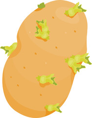 

Illustration of a Potato with Sprouts