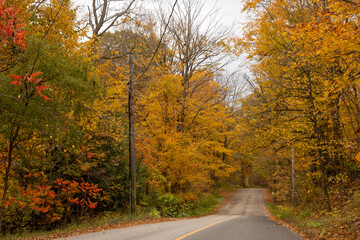 Rural road in autumn with orange yellow and red trees.
