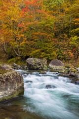 mountain river in autumn