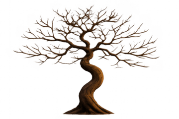 Twisted bare winter tree with leafless branches illustration