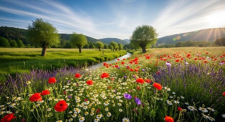 Vibrant Poppy Field with Gentle Stream and Rolling Hills Under a Sunny Sky.