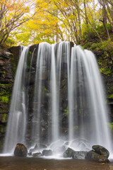 waterfall in autumn forest