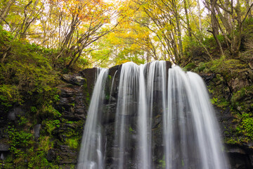 waterfall in autumn forest