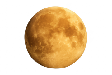 Full harvest moon with cratered surface on transparent background