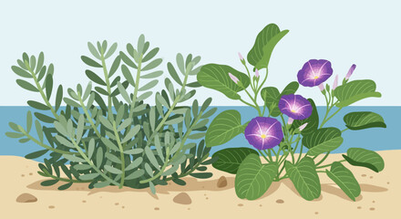 lavender flowers on a white background