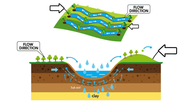 Diagram Illustrating Groundwater Flow and Surface Water Interaction.