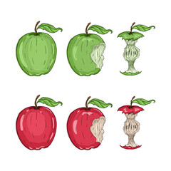 Apples and apple cores illustration set