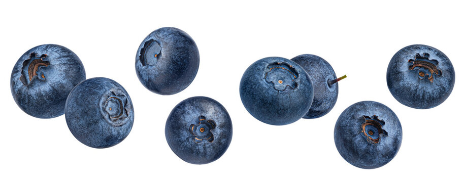 delicious, fresh, and perfectly ripe blueberries lined up horizontally, showcasing their appealing color and texture in a clean arrangement, isolated on black.