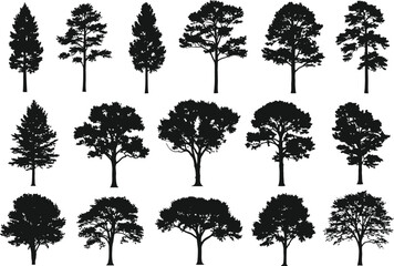 Fototapeta premium Collection of diverse tree silhouettes in black and white isolated on a white background for design elements
