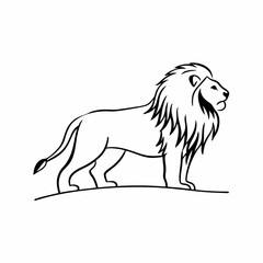lion vector illustration