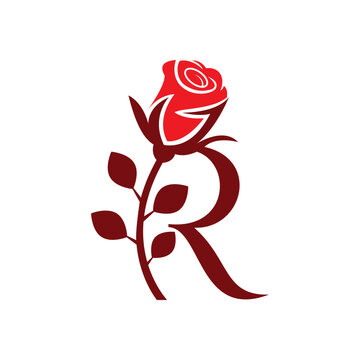 Red rose with leaves cleverly forms the letter r in floral design.