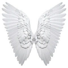 Obraz premium Two spread, fluffy white angel wings on a black background