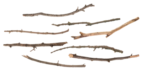 collection of natural, dry wooden sticks and broken tree branches scattered in various sizes and shapes, photographed realistically and isolated on black.