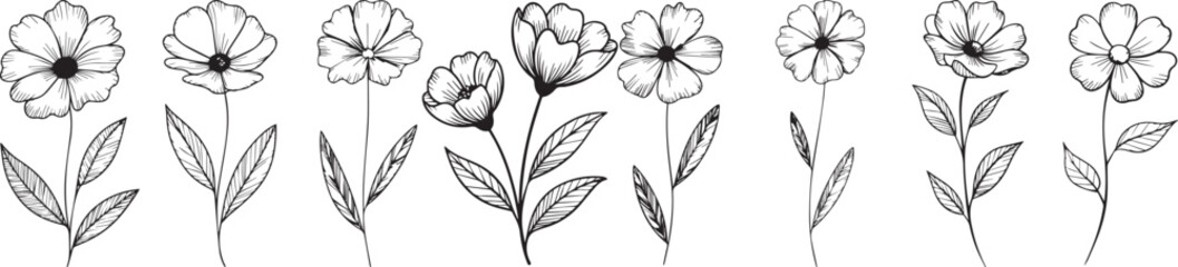 Delicate hand-drawn floral illustration set in black and white, featuring minimal line art flowers with stems and leaves, perfect for wedding invitations, pattern design, and botanical decorative artw