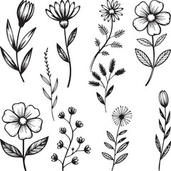 Black and white hand-drawn floral illustration set featuring elegant wildflowers, leaves, and botanical line art design, perfect for wedding invitations, surface patterns, logos, and decorative artwor