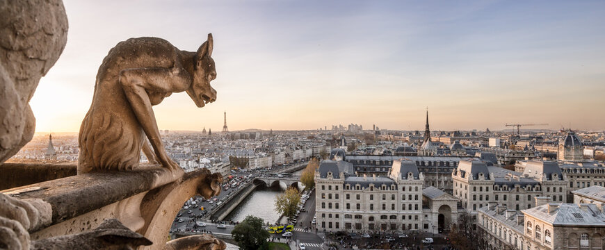 Panoramic of gargoyle and city of Paris at sunset, France