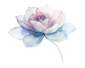 Minimal Line and Watercolor Flower Fusion Design isolated on white background