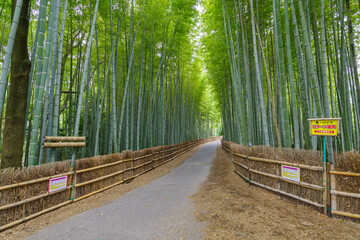 「ちたの竹林」の入口（愛知県知多市）