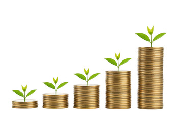 Growing stacks of gold coins with green sprouts symbolizing financial growth isolated on transparent background